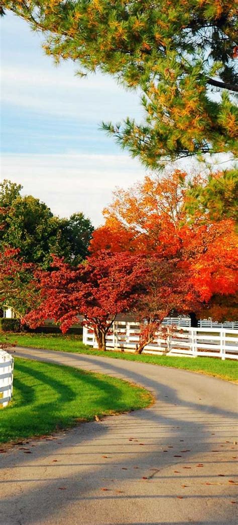 Family Therapy in Lexington, KY • Find Help .